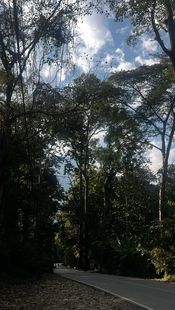 Image uploaded by KOB