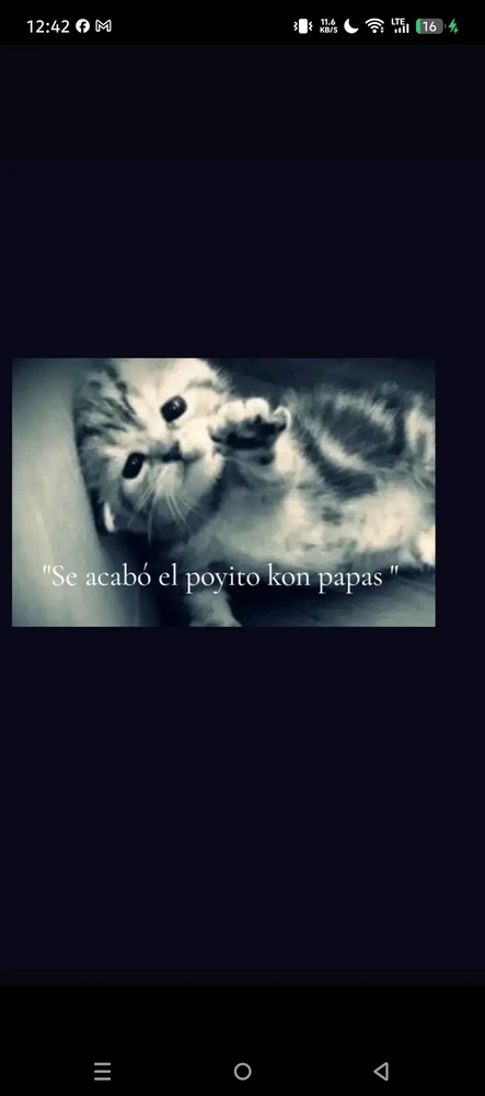 Imagen subida por Leandro