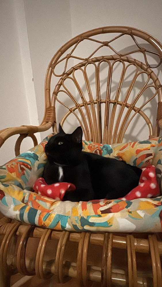 GIF caricata da Paolo