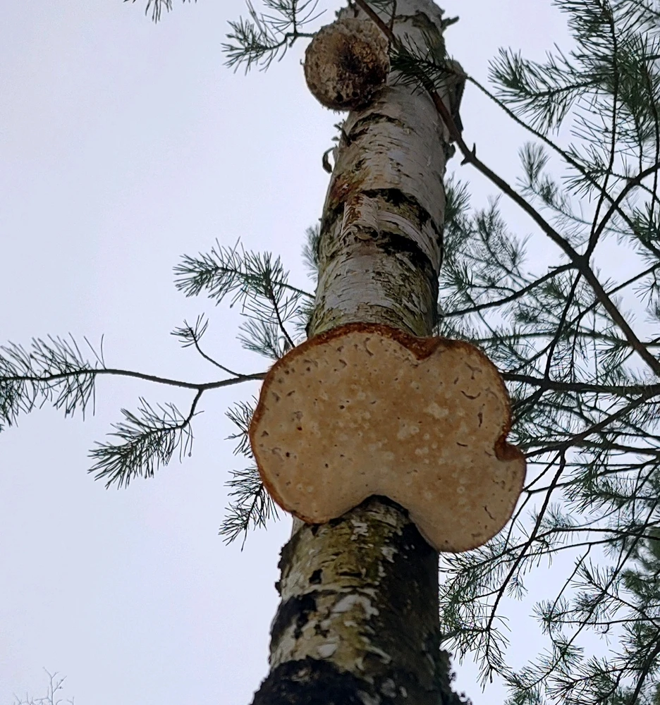 Zdjęcie dodane przez Marta