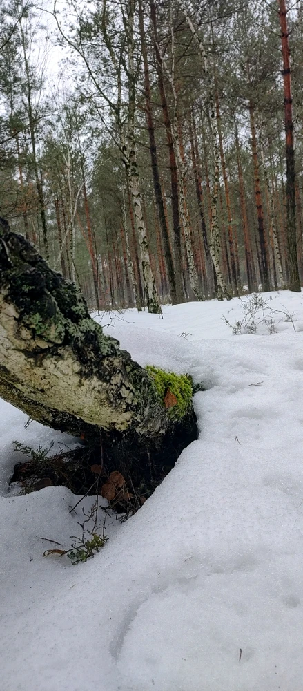 Zdjęcie dodane przez Marta