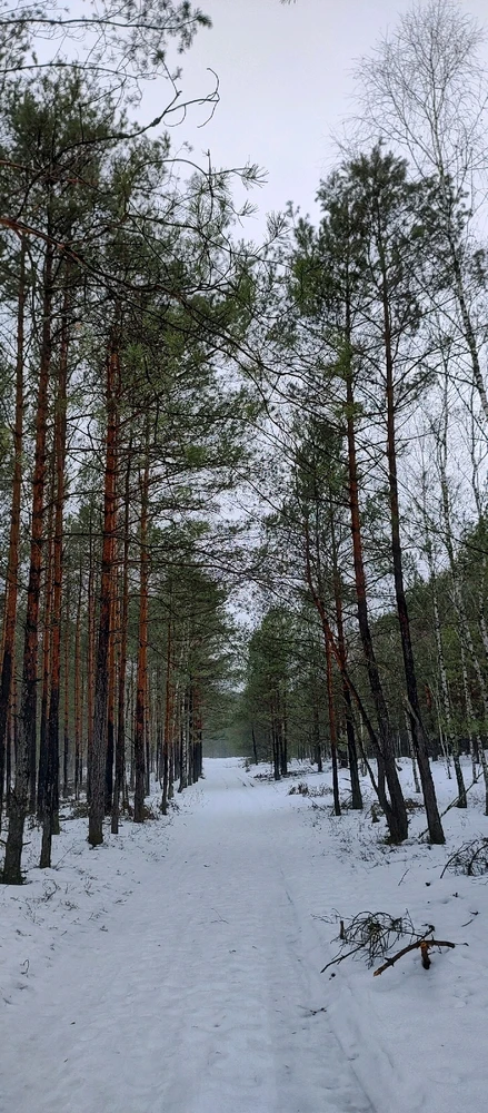 Zdjęcie dodane przez Marta