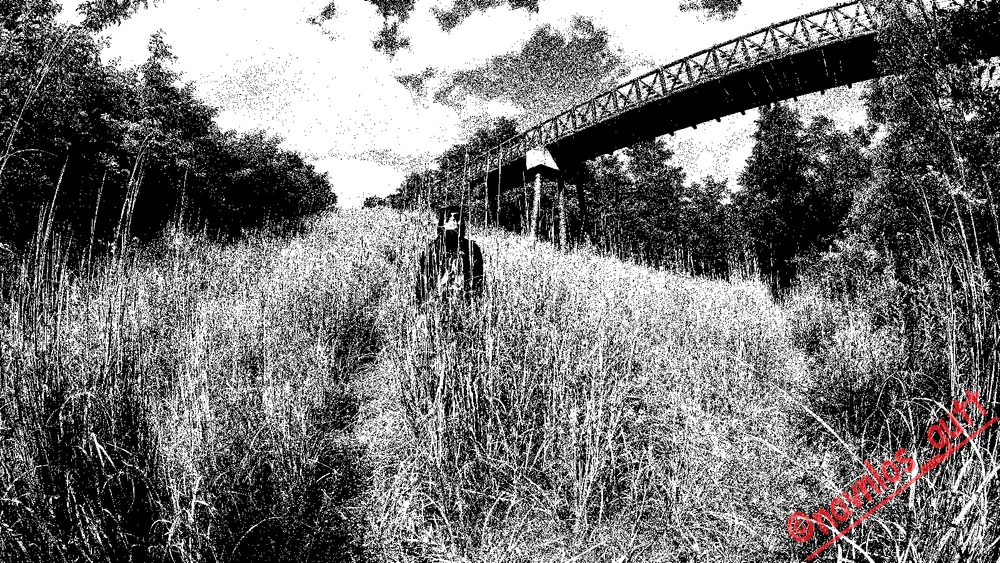 GIF uploaded by Mike