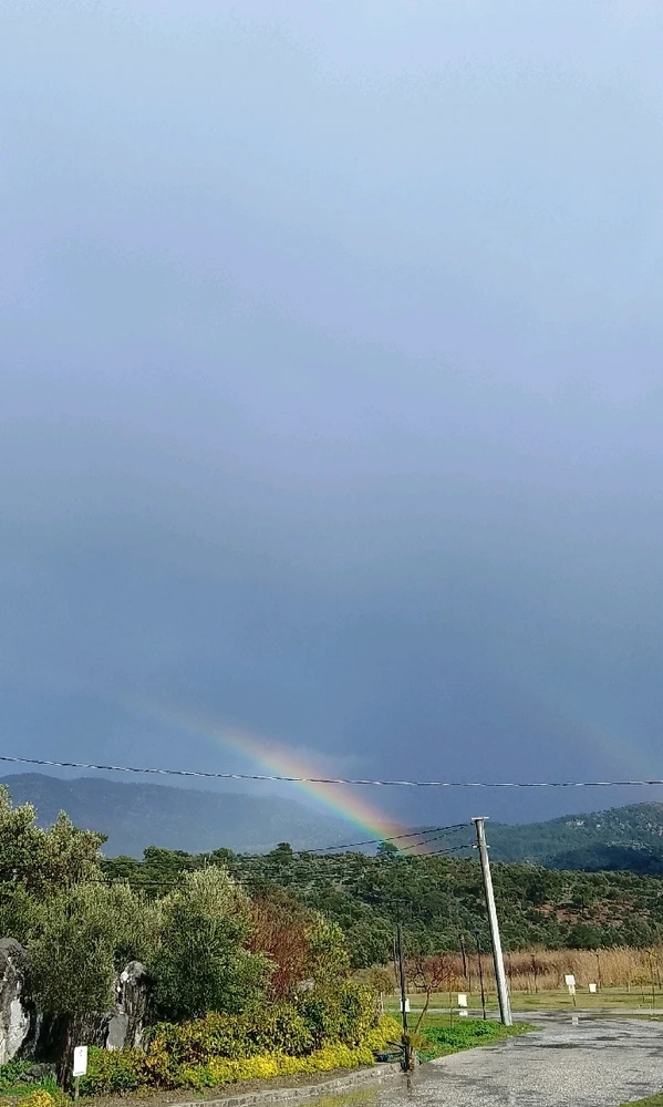 GIF uploaded by Thomas Anderson