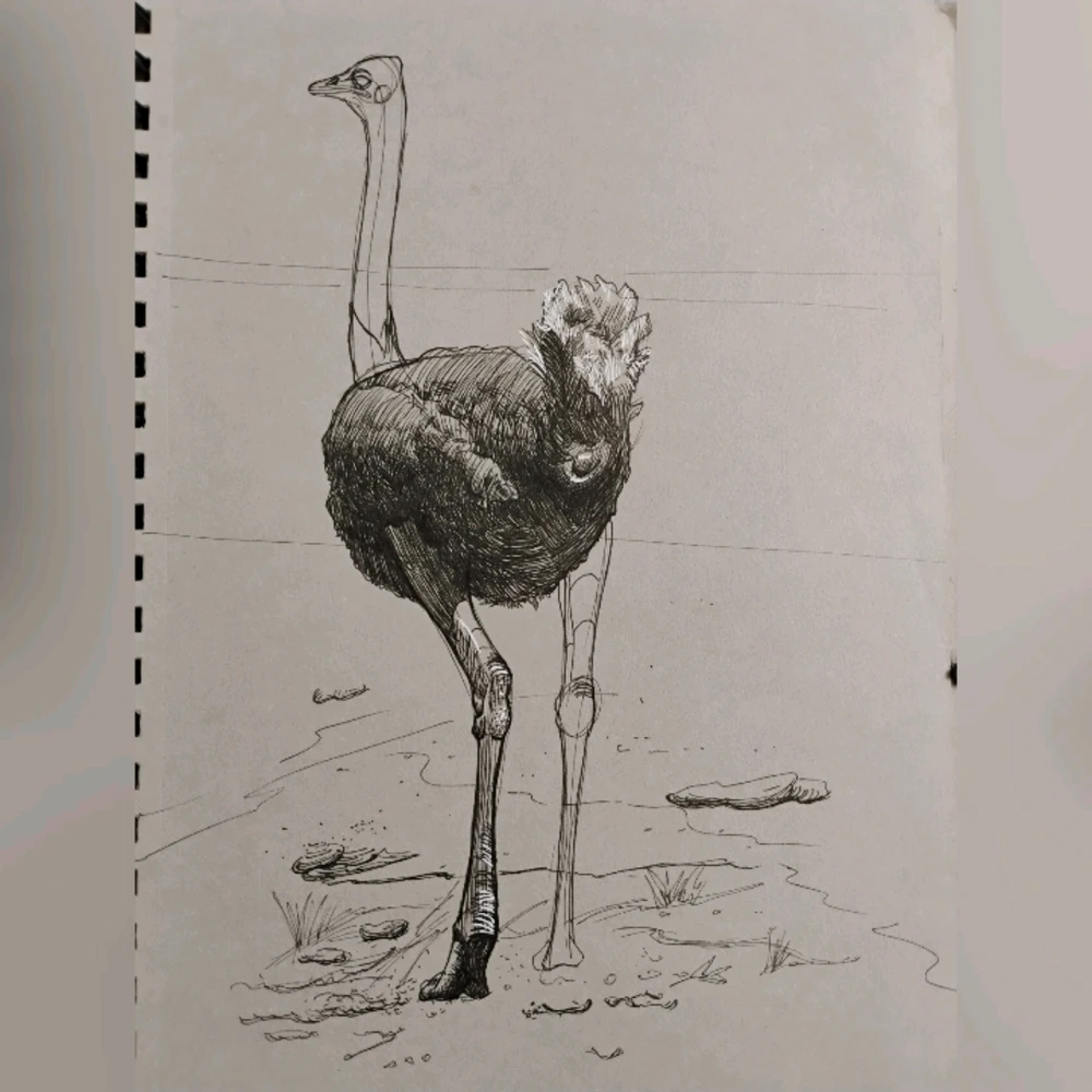 Image uploaded by Subham