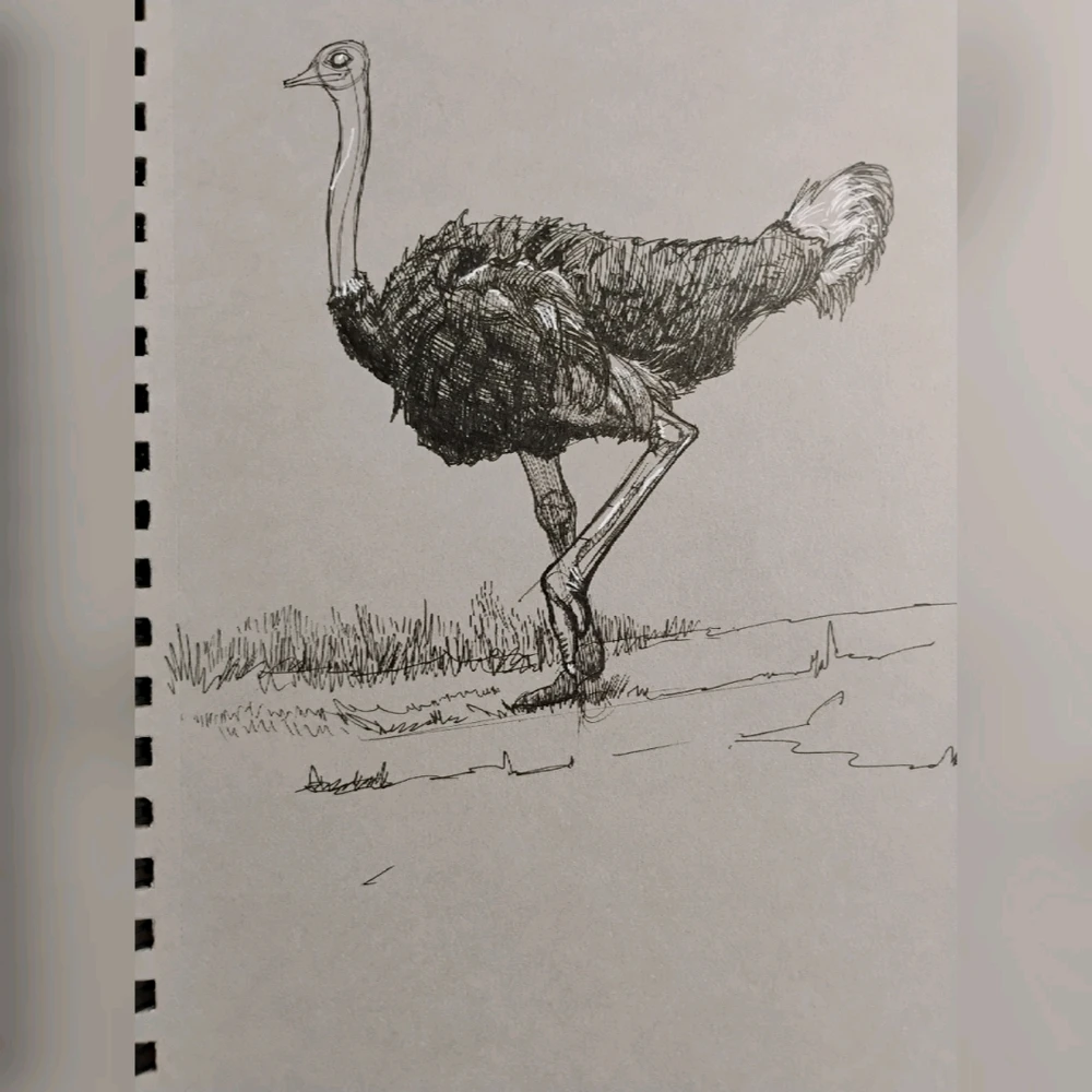 Image uploaded by Subham