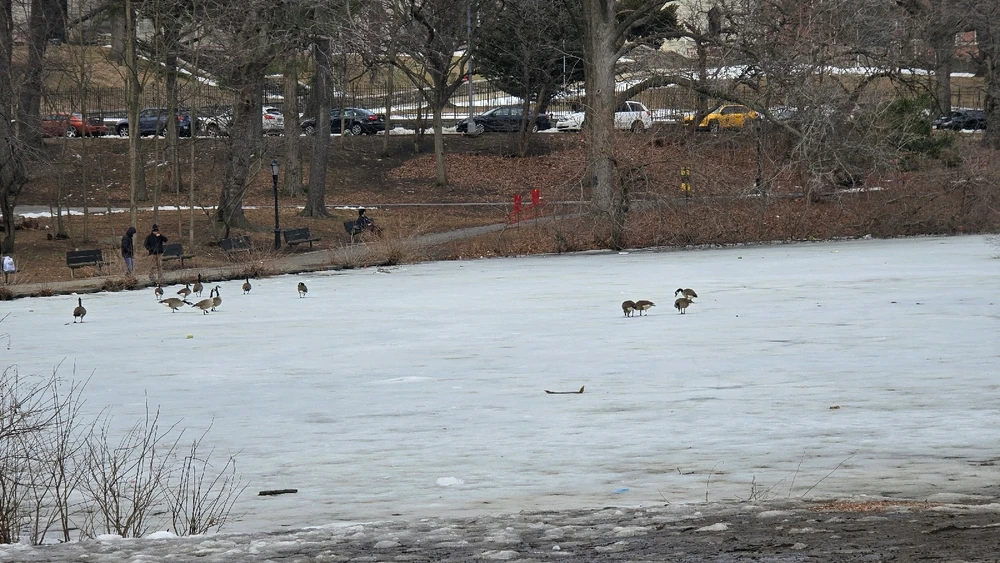 GIF uploaded by Faisal Sarker