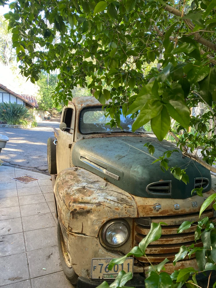 Image uploaded by Brian