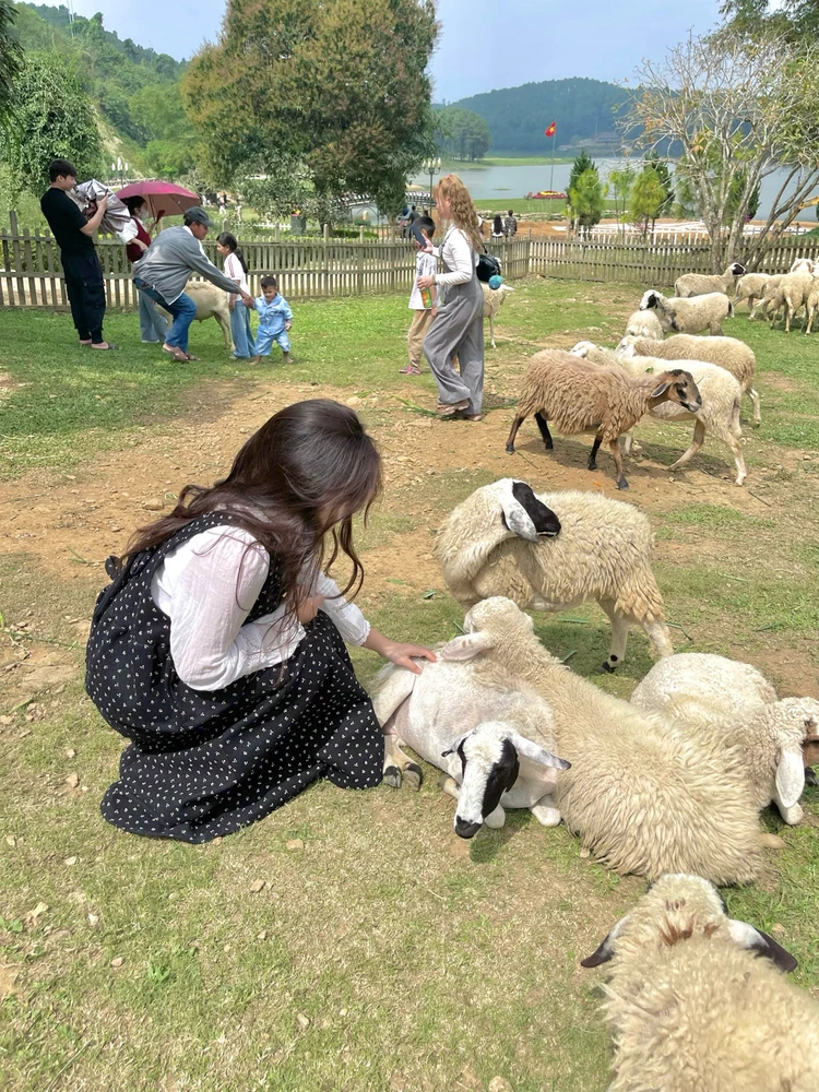 GIF được Thanh Tâm tải lên