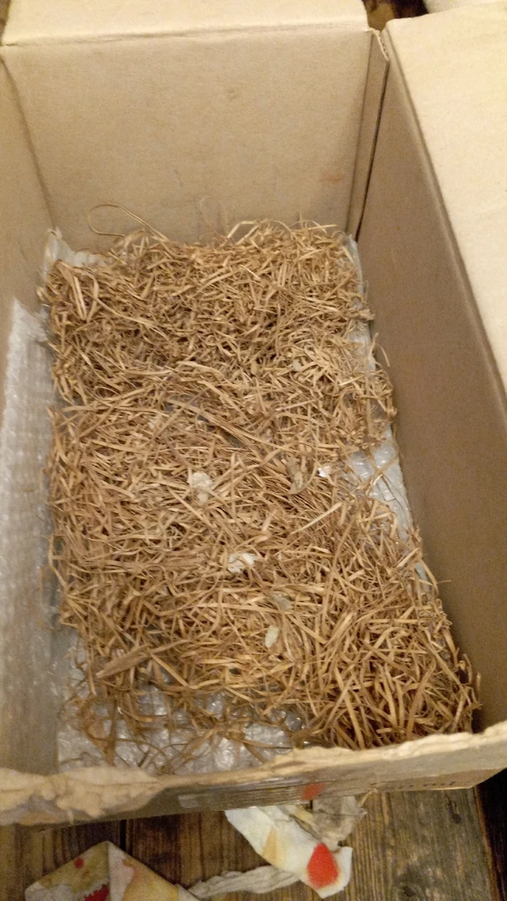 Immagine caricata da Lorenzo