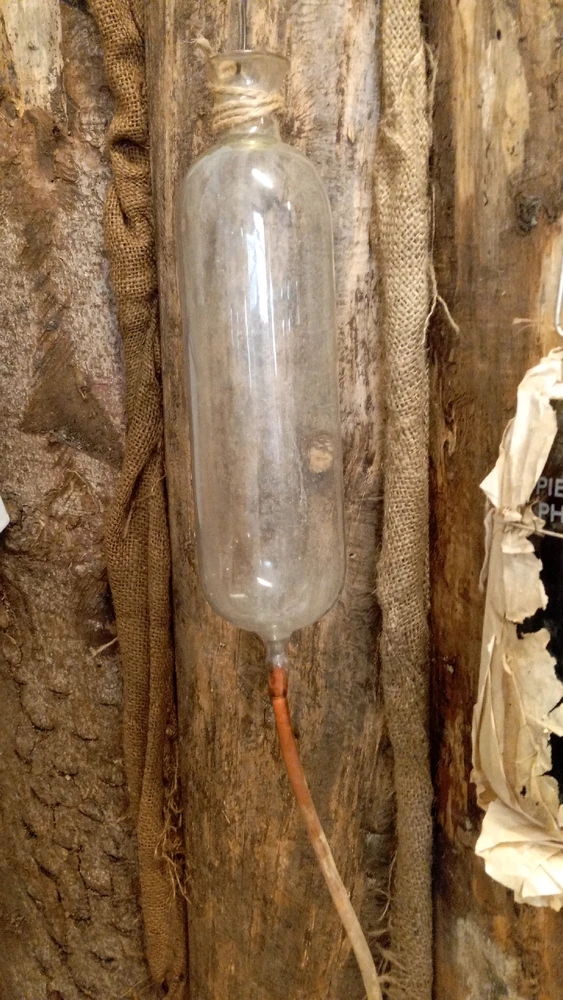 Immagine caricata da Lorenzo