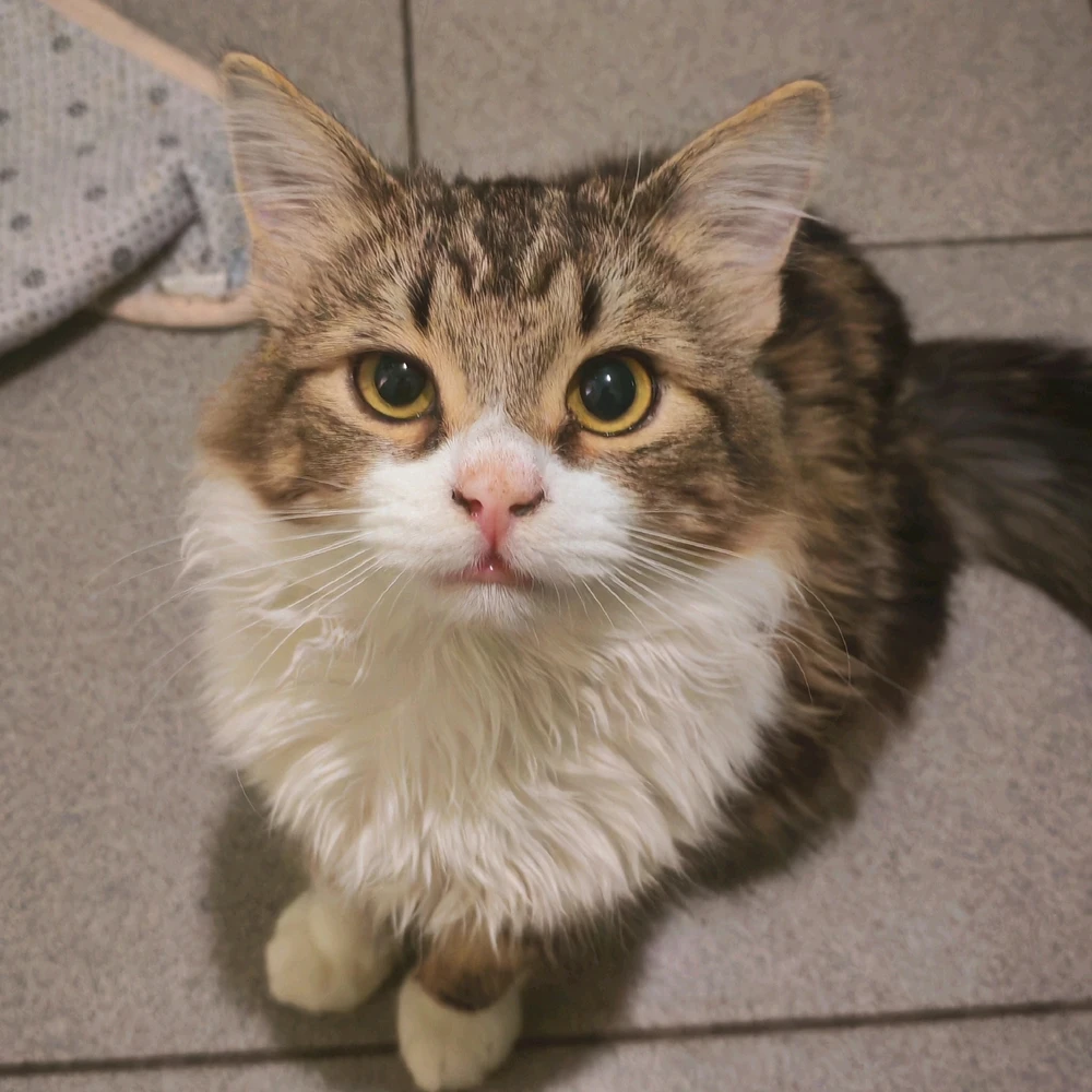 Image uploaded by Anton