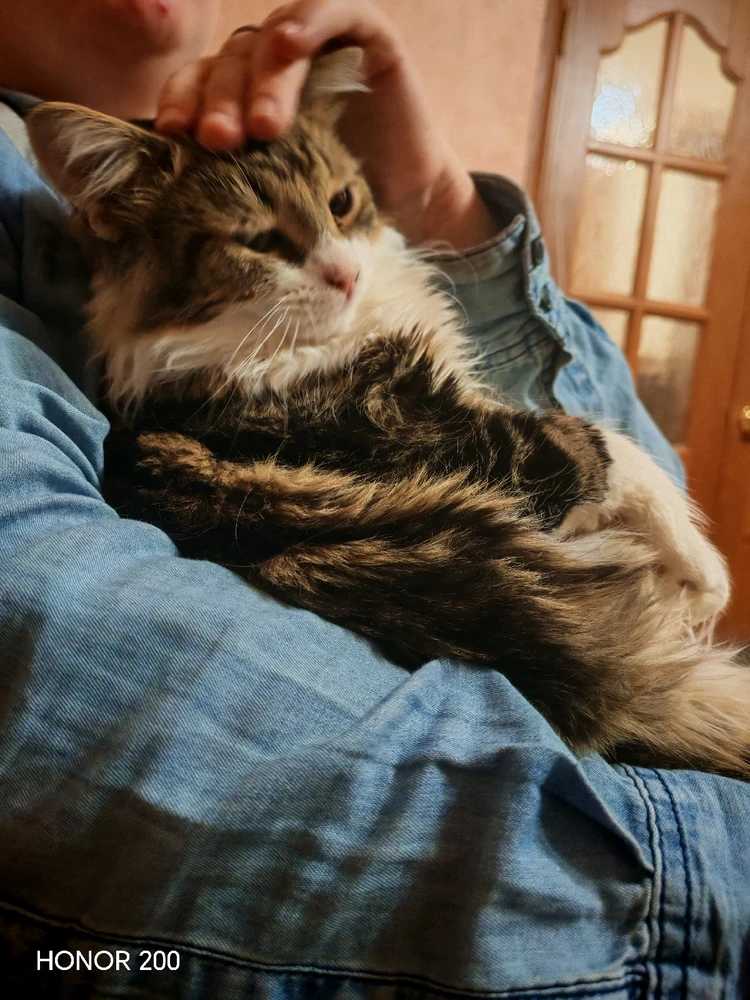 Image uploaded by Anton