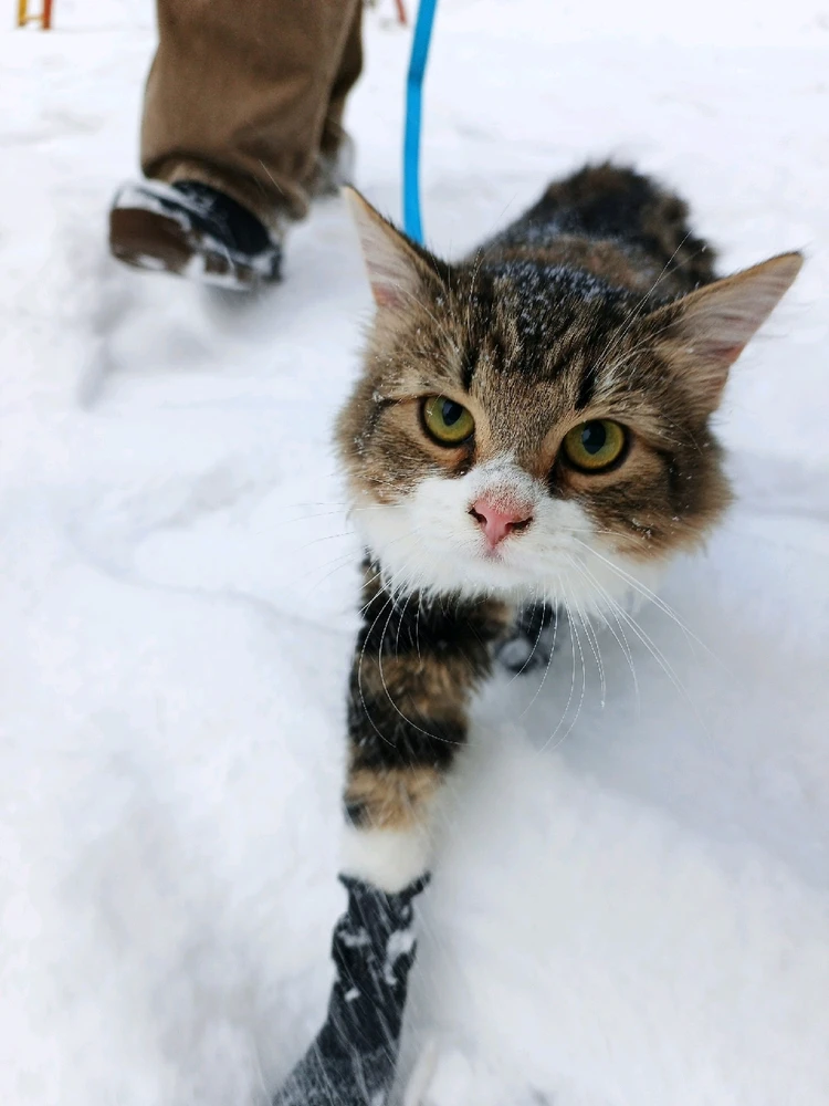 Image uploaded by Anton