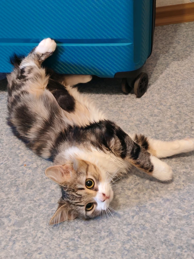 Image uploaded by Anton