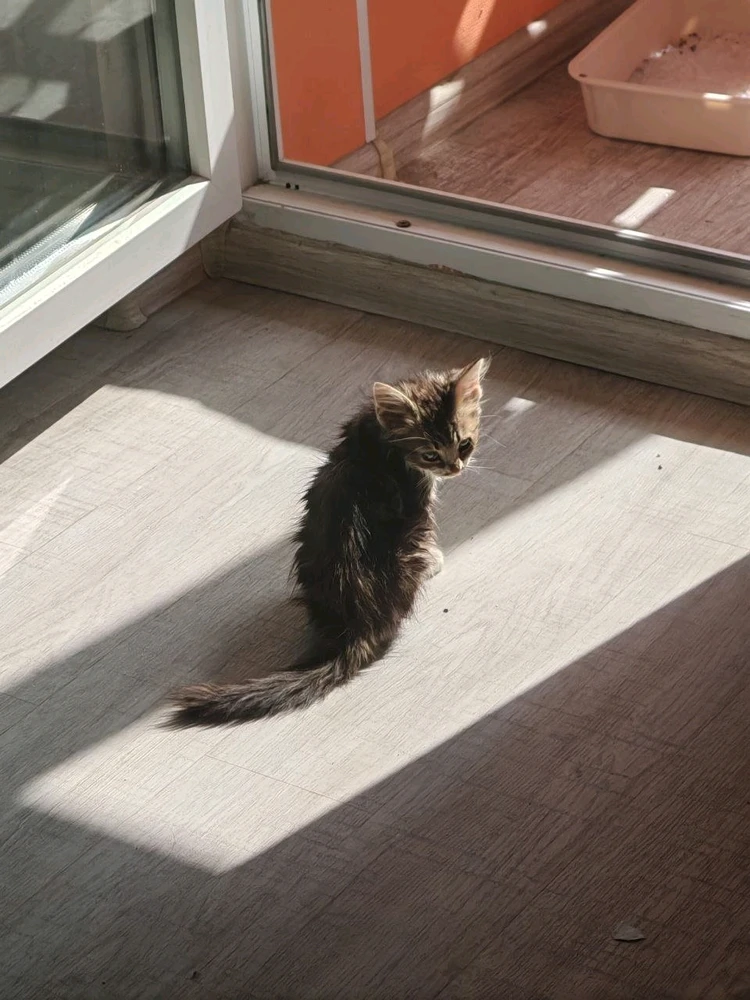 Image uploaded by Anton