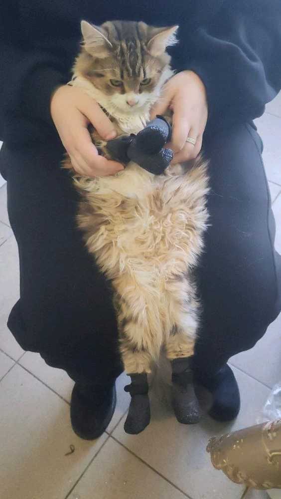 Image uploaded by Anton