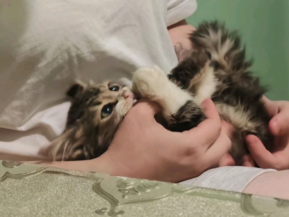 Image uploaded by Anton