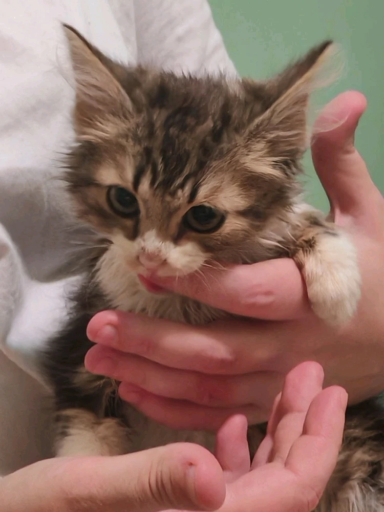 Image uploaded by Anton