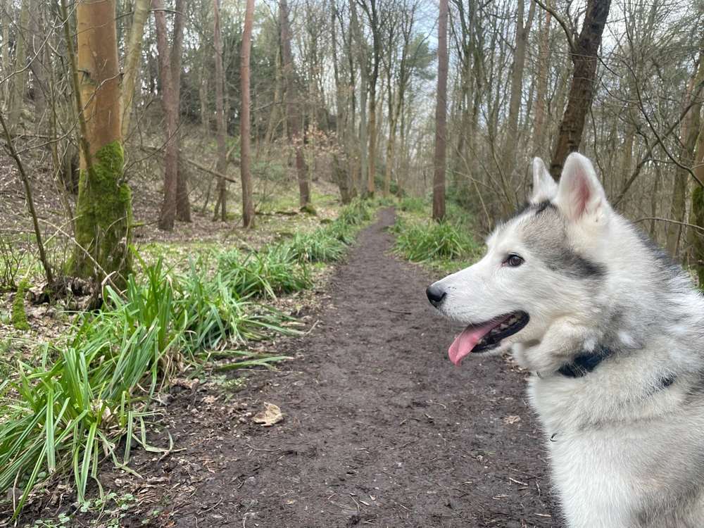 Image uploaded by Charlie