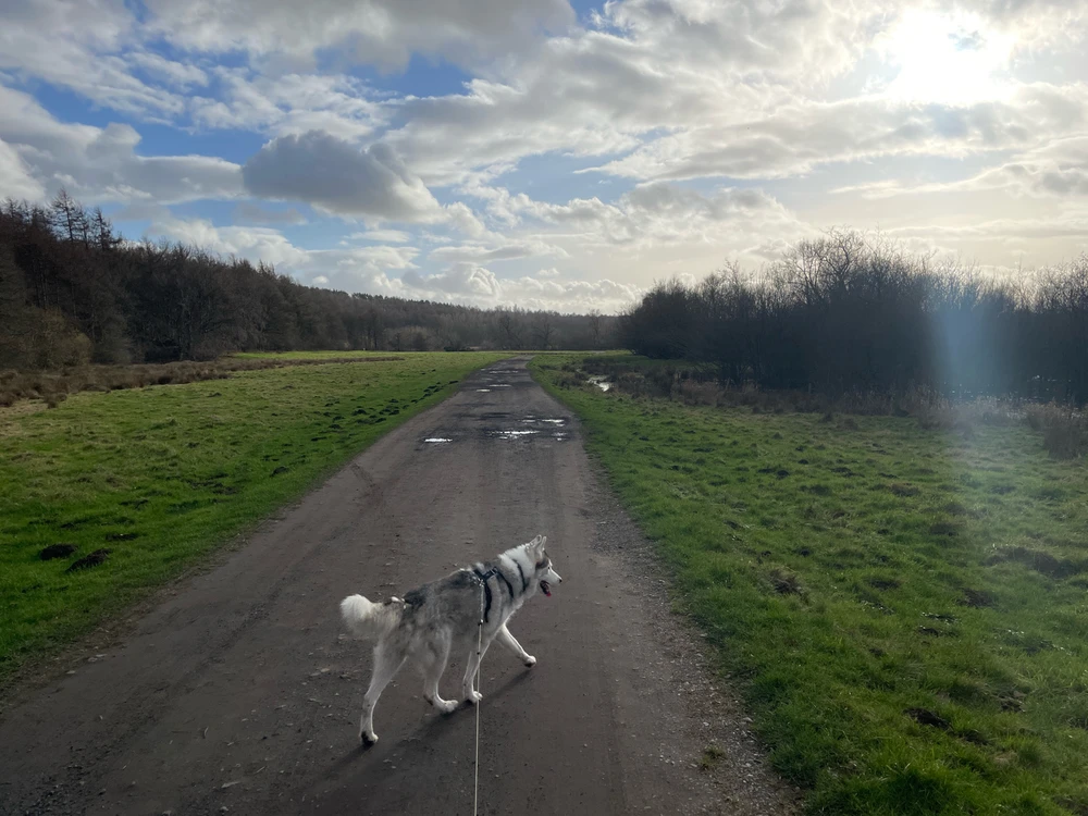 Image uploaded by Charlie