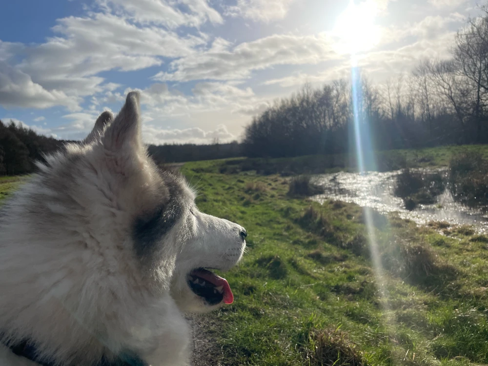 Image uploaded by Charlie