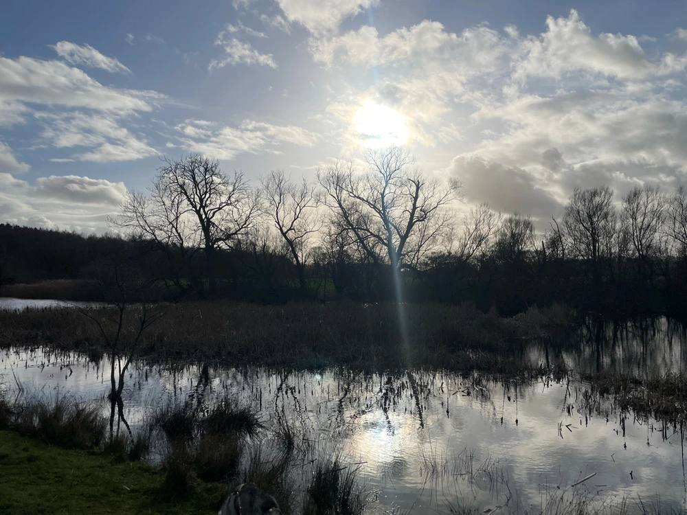 Image uploaded by Charlie