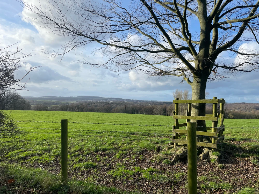 Image uploaded by Charlie