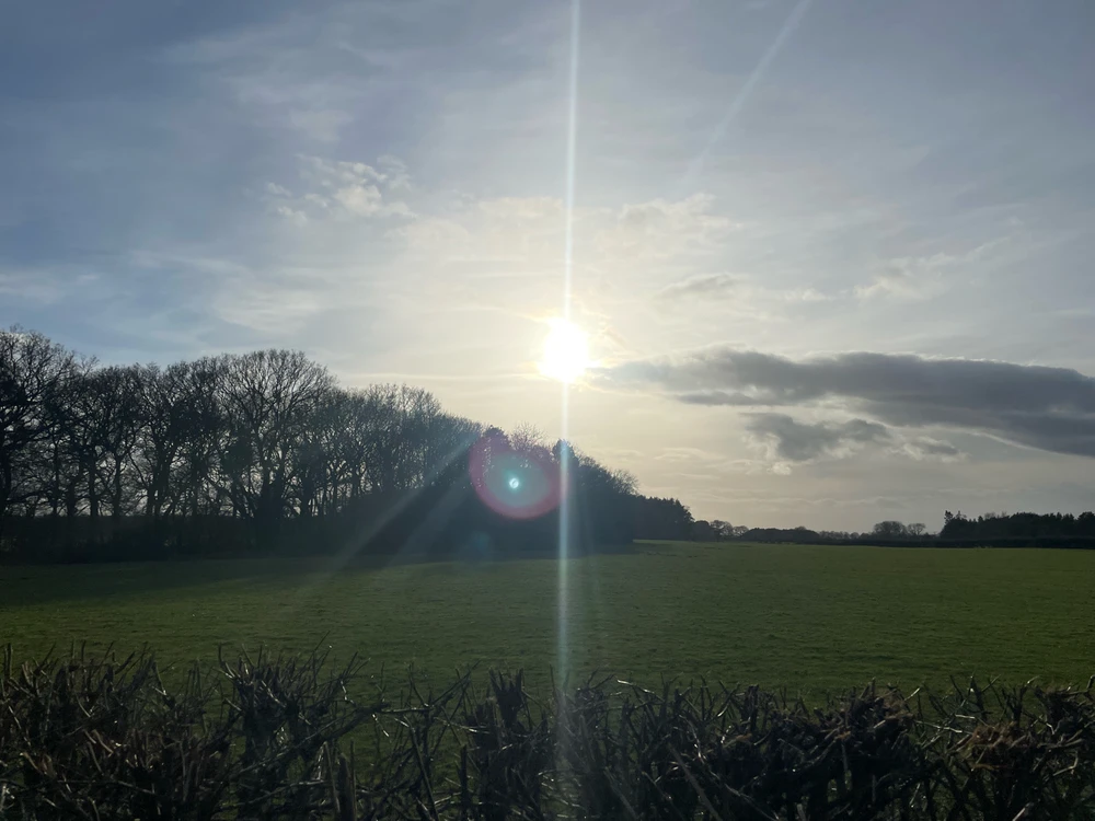 Image uploaded by Charlie