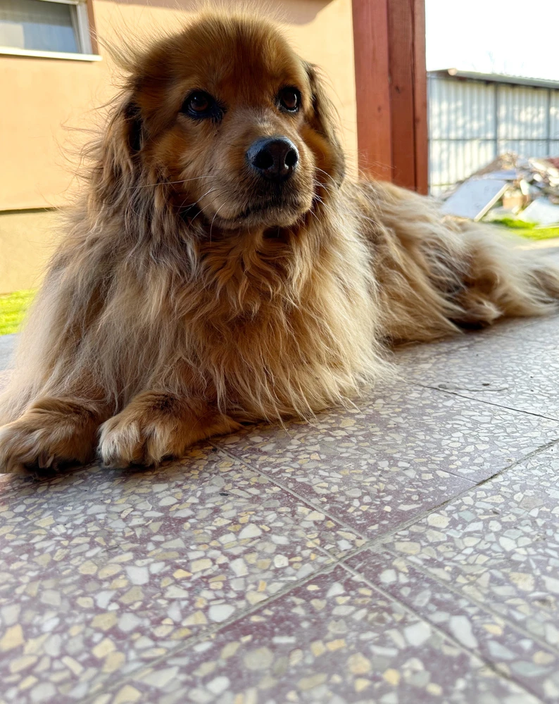 Tamás által feltöltött GIF