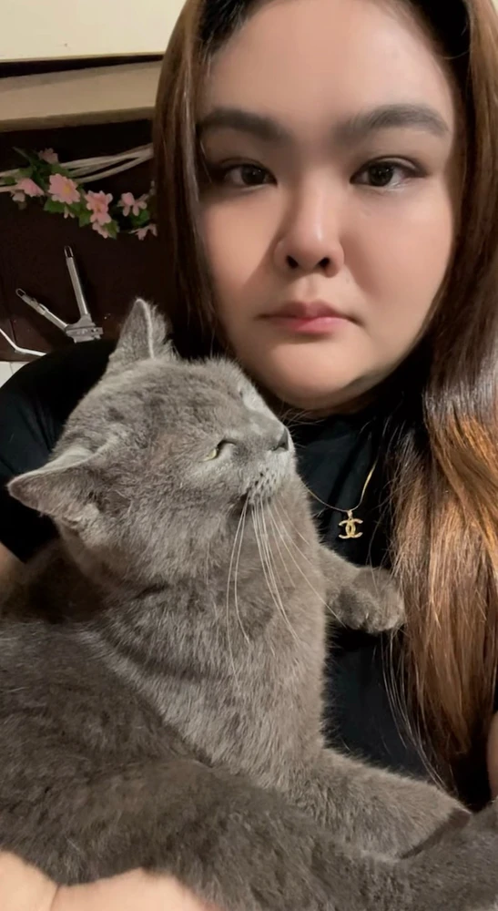 GIF uploaded by Mimi