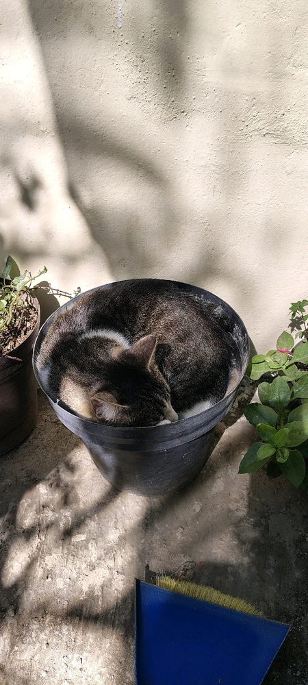 GIF subido por Michel