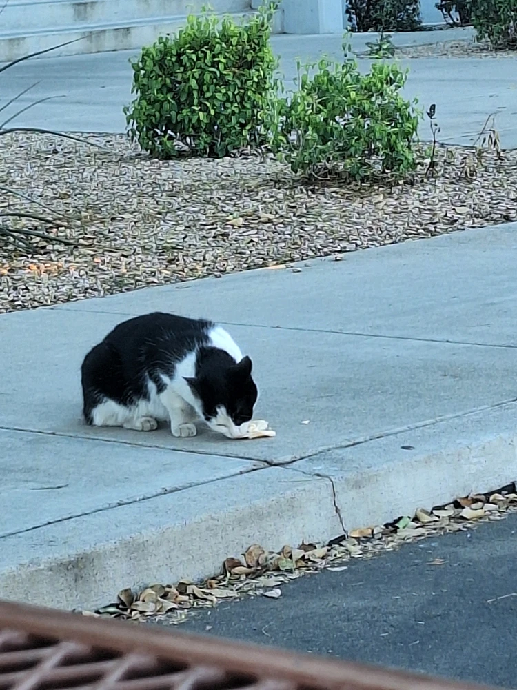 GIF uploaded by Marcelino