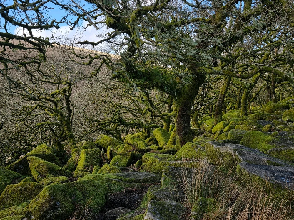 GIF uploaded by Lauren