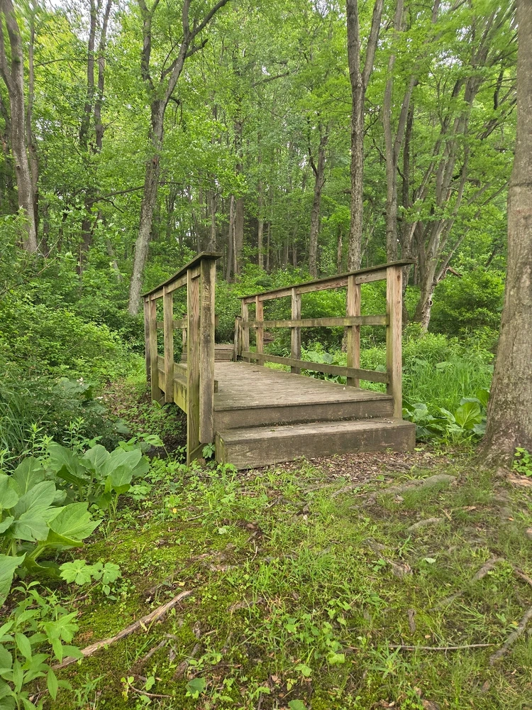 Image uploaded by Alicia