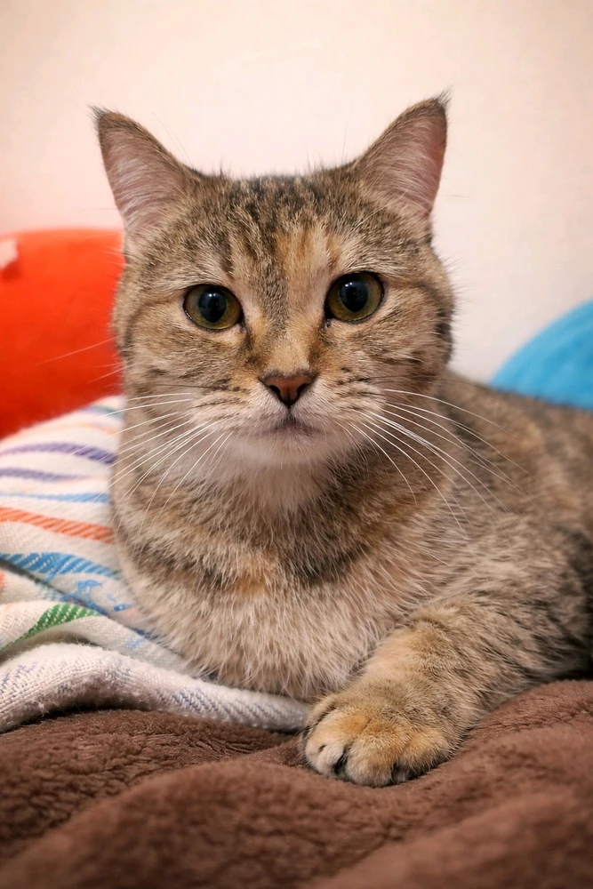 GIF uploaded by ๐ข๐ฎ๐ป๐ฎ๐ท โข ๐ข๐ฎ๐ป๐ฎ๐ท๐ญ๐ฒ๐น๐ฒ๐ฝ๐