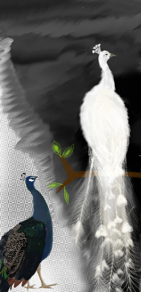 GIF uploaded by Asaad