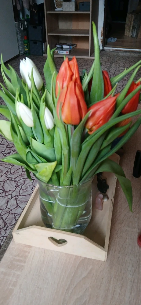 Image uploaded by Broni