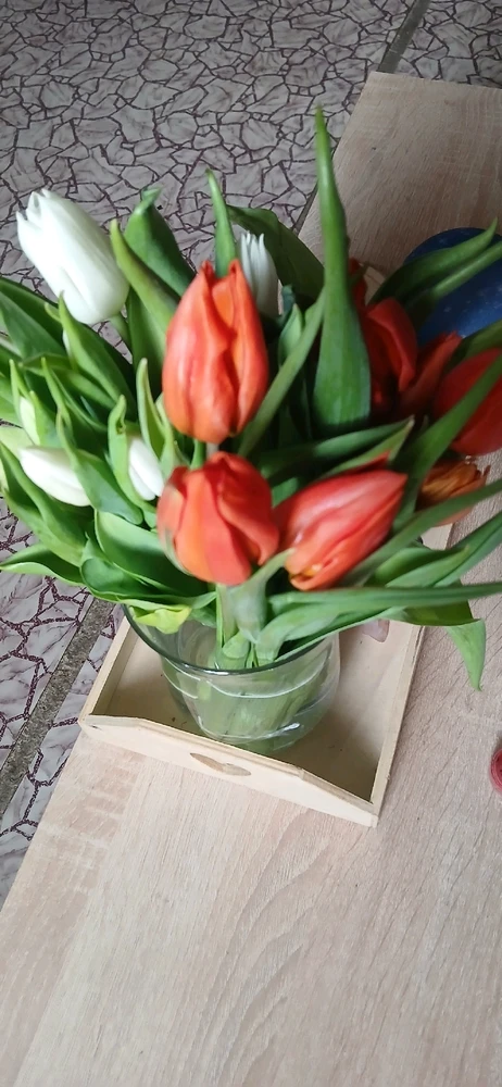 Image uploaded by Broni