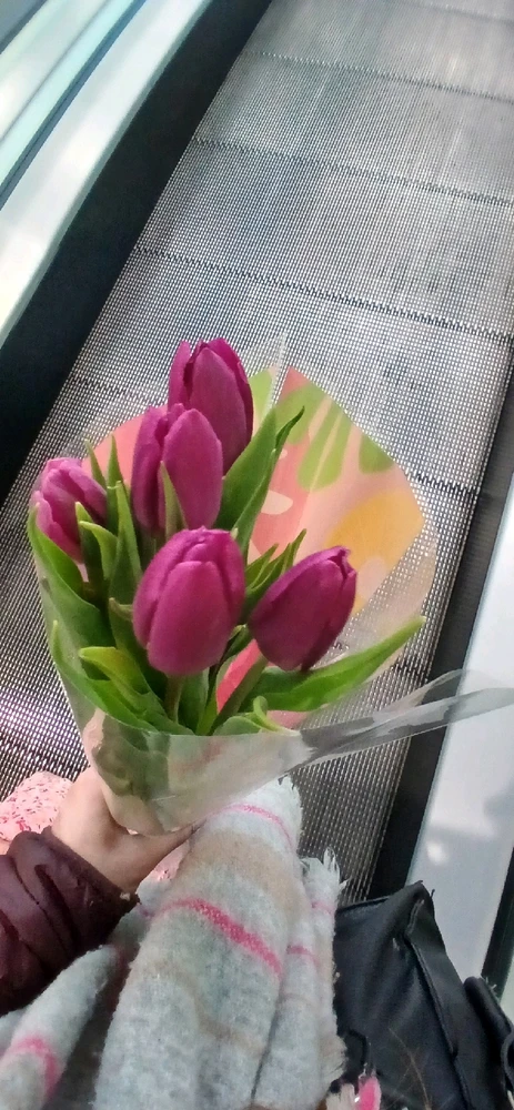 Image uploaded by Broni