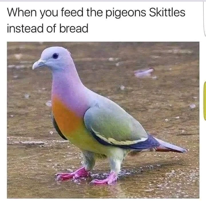 GIF uploaded by Jesse