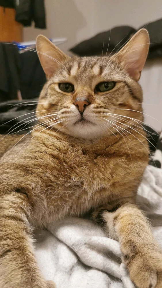 Obrázek nahrál Josef