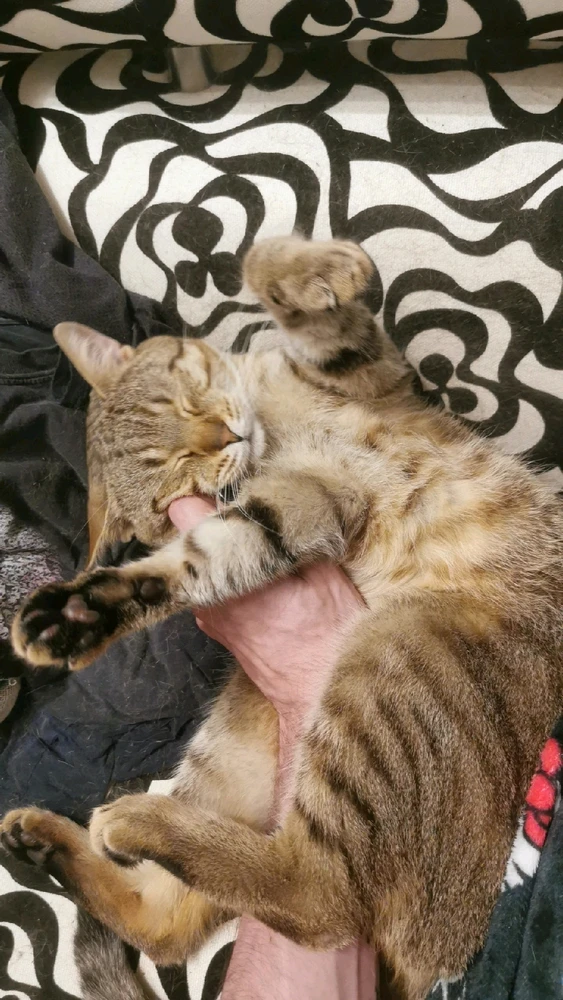 Obrázek nahrál Josef