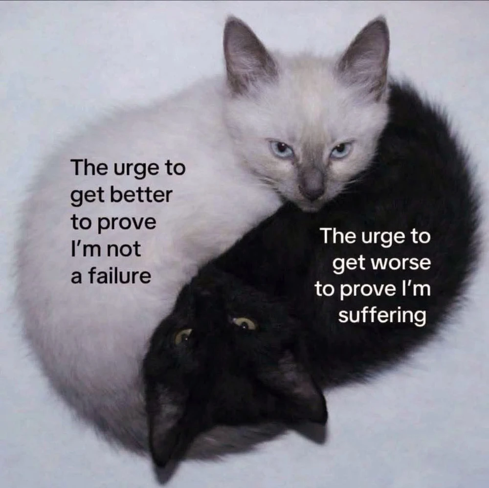 GIF uploaded by Caedus