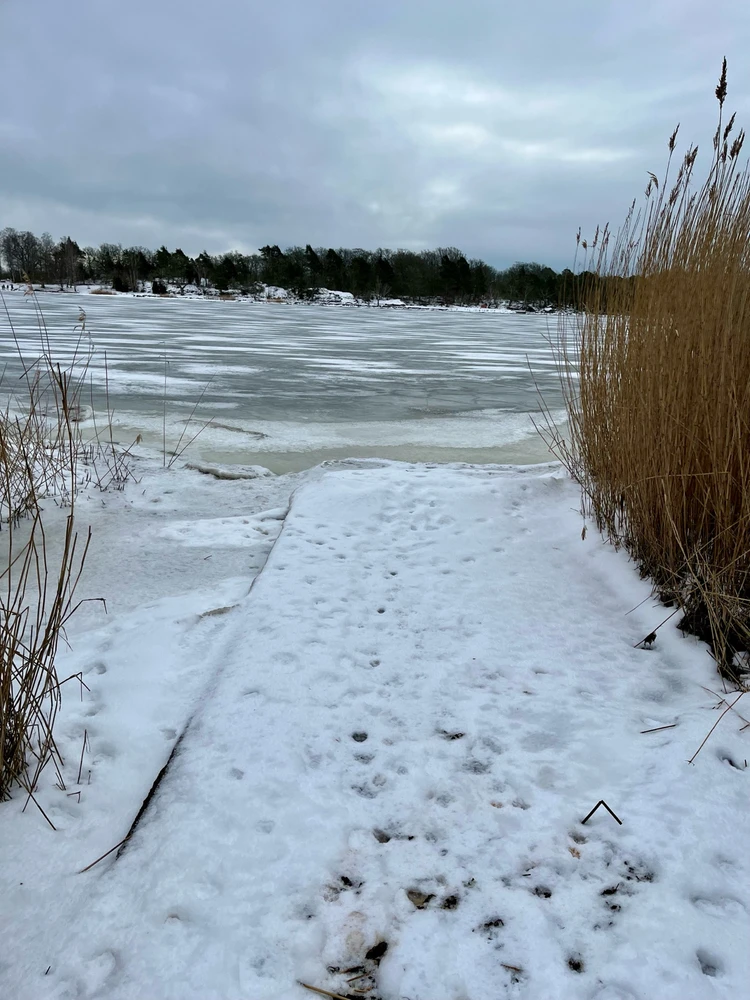 Image uploaded by Fredric