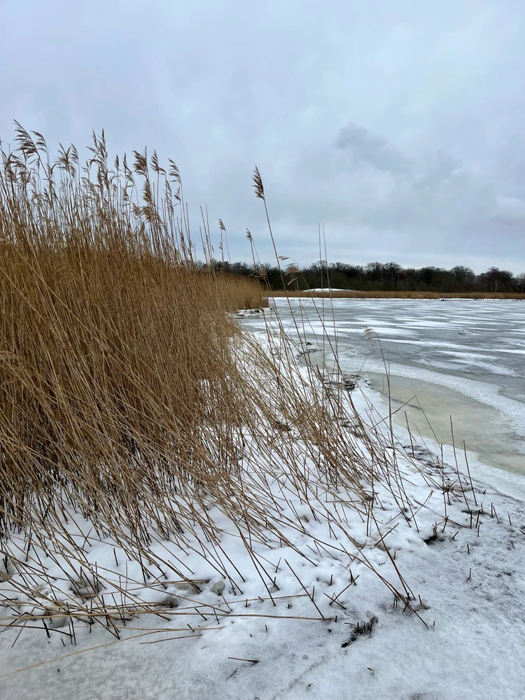 Image uploaded by Fredric