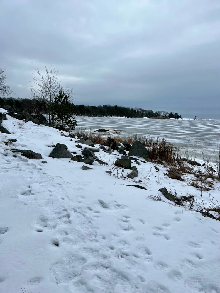 Image uploaded by Fredric