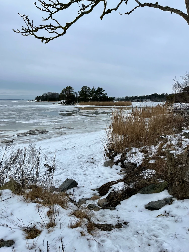 Image uploaded by Fredric