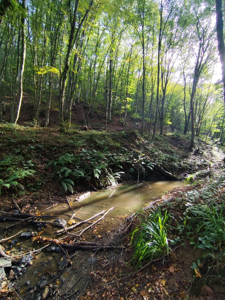 Image uploaded by Lynn