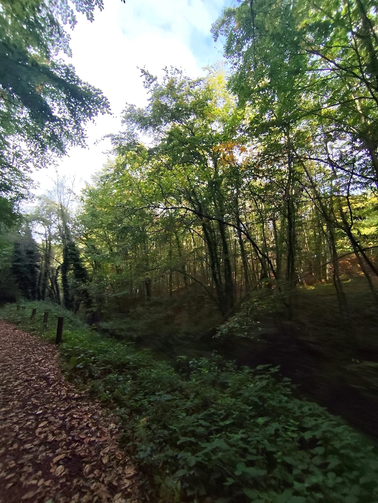 Image uploaded by Lynn